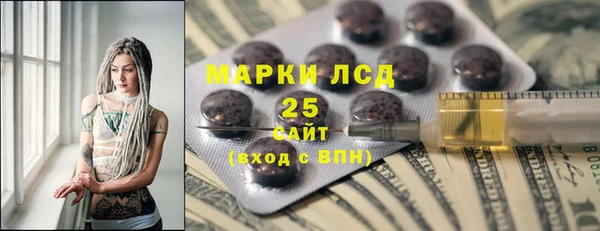 стаф Дмитровск