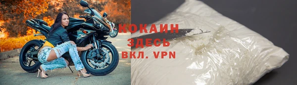 стаф Дмитровск