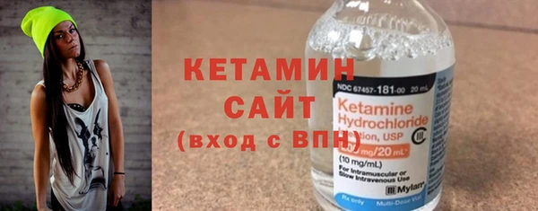 шишки Дмитриев