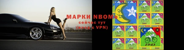 стаф Дмитровск