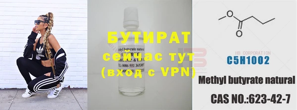 шишки Дмитриев