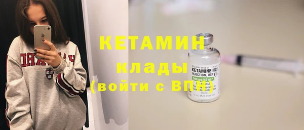 шишки Дмитриев