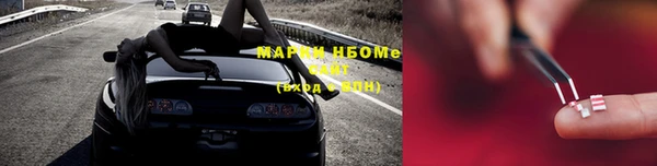 стаф Дмитровск