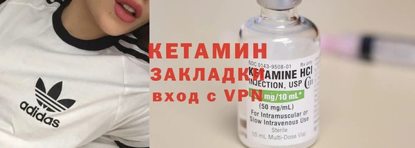 шишки Дмитриев