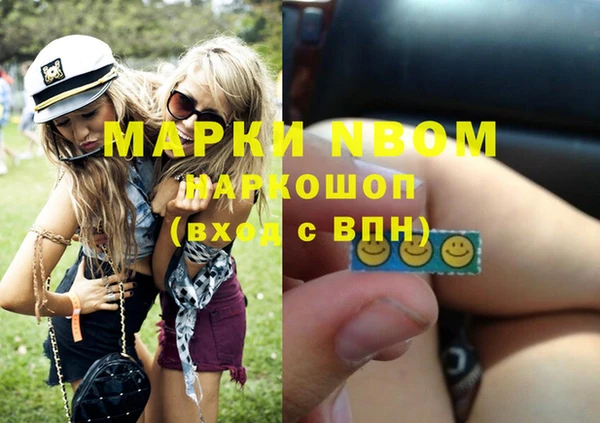 стаф Дмитровск