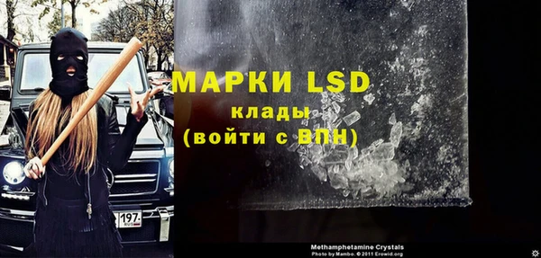 шишки Дмитриев