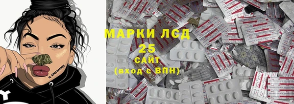 стаф Дмитровск