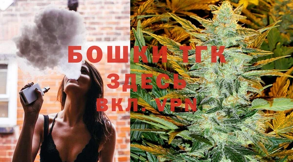 шишки Дмитриев