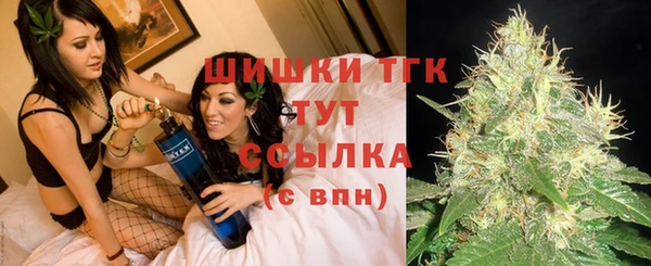 стаф Дмитровск