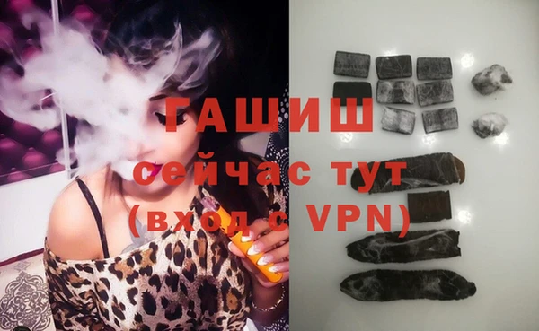 стаф Дмитровск